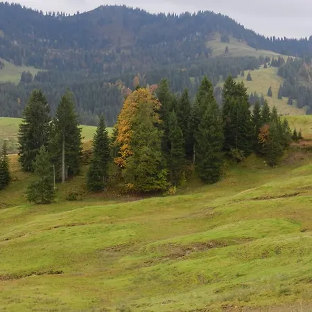 Bergfrieden * Oberstaufen