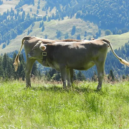 Bergfrieden * Oberstaufen